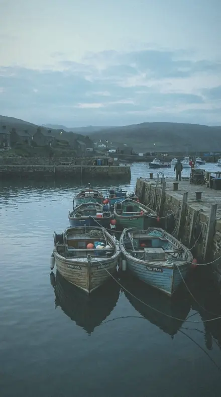 Graded with Nature and Night: The harbour, before it woke