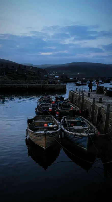 Graded with Nature and Night: Raptor Dark on The harbour, before it woke