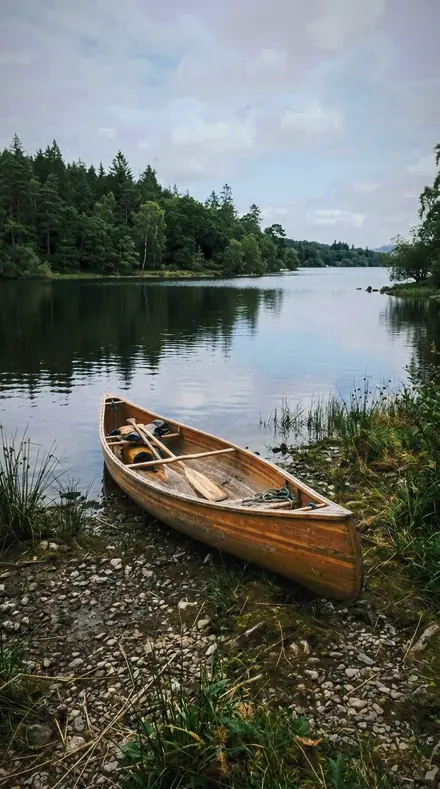 Graded with Nature and Night: Raptor Dark on Still water, the greens honest