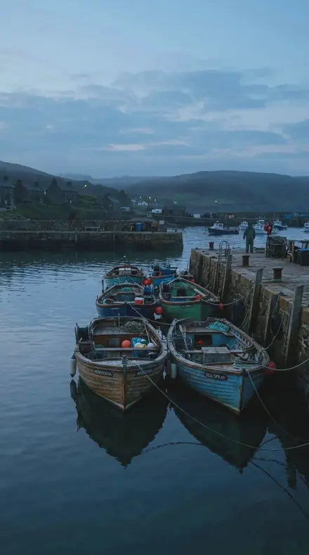 Graded with Nature and Night: Tide Line on The harbour, before it woke
